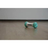 Wicked Bone SE Mint - Home Automation Pet Device Accessory