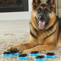 Essential Words Talking Pet Device