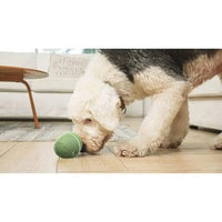 Wicked Egg Pet Device Accessory - Olive Green