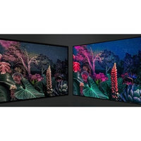 65-Inch Ultra High Definition Commercial TV