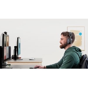 Wireless MS - Graphite PC Headset/Microphone Combo