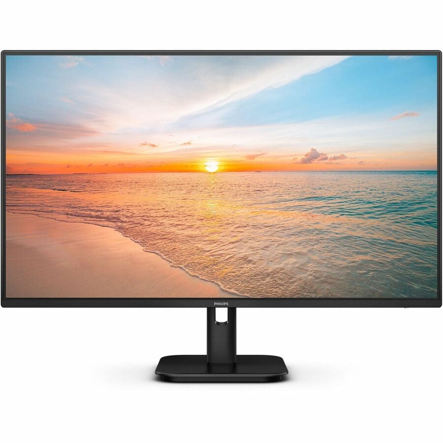 24in FHD 100Hz IPS Monitor