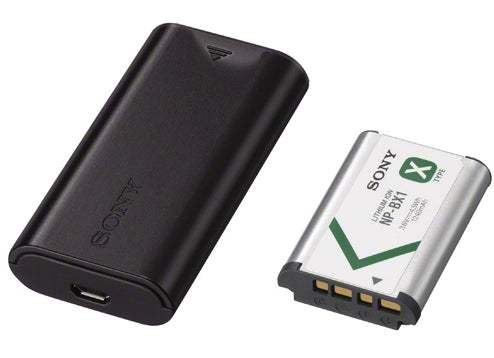 ACC-TRDCX X Type Battery and Charger Compatible With NP-BX1