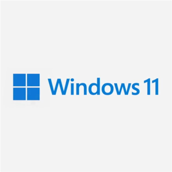 Windows 11 Home 64Bit OEM System