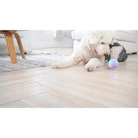 Wicked Ball PE - Purple, Pet Accessory