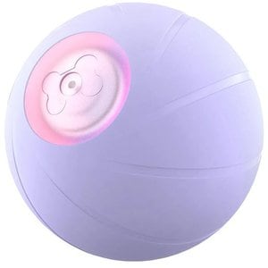 Wicked Ball PE - Purple, Pet Accessory