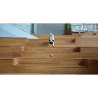 Wicked Ball SE - Orange Smart Ball Toy for Small and Medium Dogs