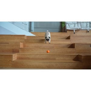 Wicked Ball SE - Orange Smart Ball Toy for Small and Medium Dogs