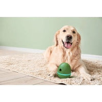 Wicked Egg Pet Device Accessory - Olive Green