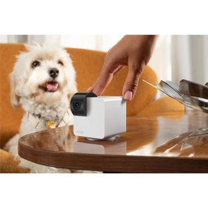 360 Degree Petcube Cam