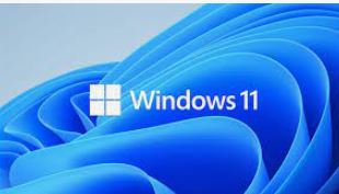 Windows Home 11 64bit Eng Intl 1PK DVD