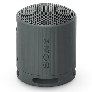 SRSXB100H Wireless Speaker Grey