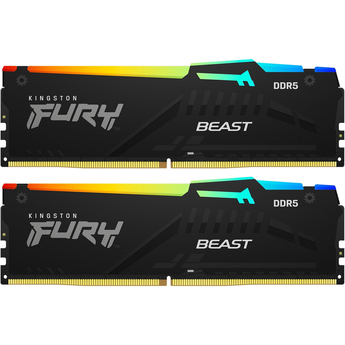 Beast E RGB 32GB D5 5600MTs C36 Kit of 2